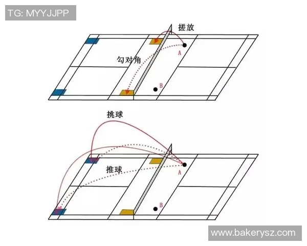 北京羽毛球队速度分析：技术与战术的完美结合探讨
