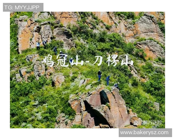 攀岩精神:深入了解上海攀岩队的团队协作与挑战之旅 攀岩精神:深入了解上海攀岩队的团队协作与挑战之旅