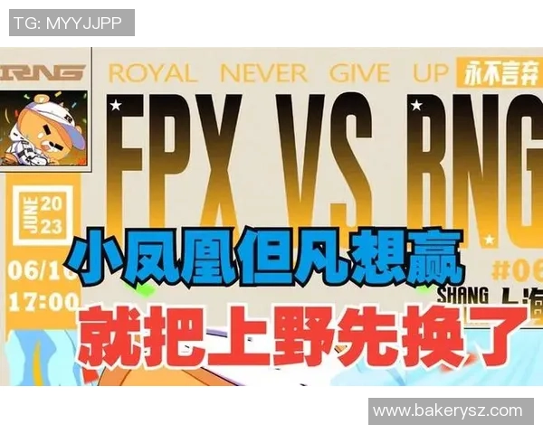 赛后深度分析RNG与FPX实力对比及未来展望 赛后深度分析RNG与FPX实力对比及未来展望