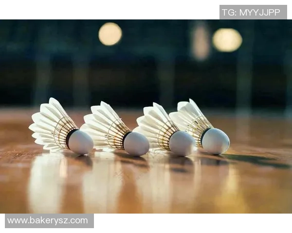 陈娜独家分享羽毛球技巧与心得助你提升竞技水平与乐趣