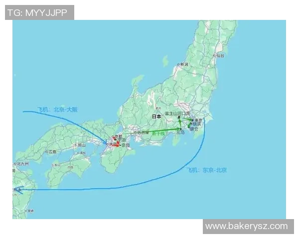 仙台维权与大阪岗的激烈对决揭示日本足球新格局 仙台维权与大阪岗的激烈对决揭示日本足球新格局