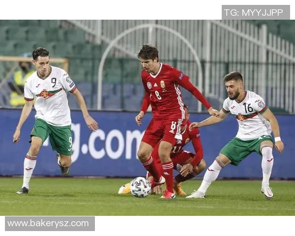 保加利亚与匈牙利足球对决数据分析及战术解析 保加利亚与匈牙利足球对决数据分析及战术解析